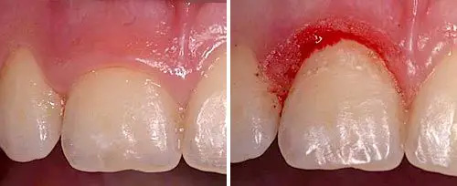 Cosmetic Dental Office 11542