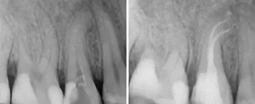 Cosmetic Dental Office 11542