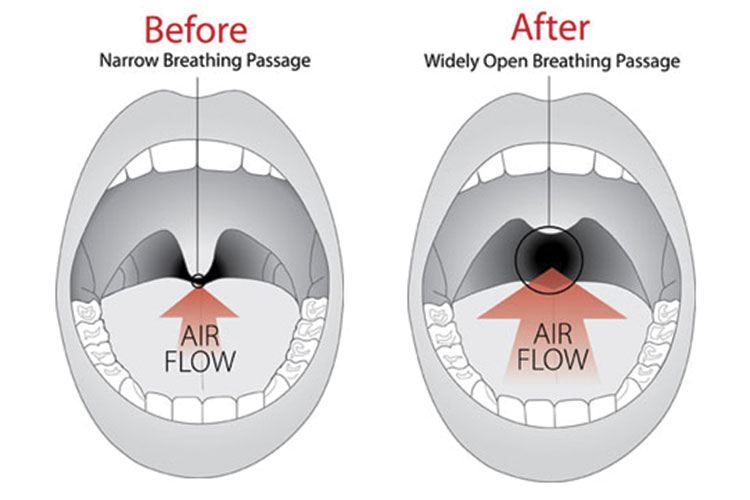 Cosmetic Dental Office 11542